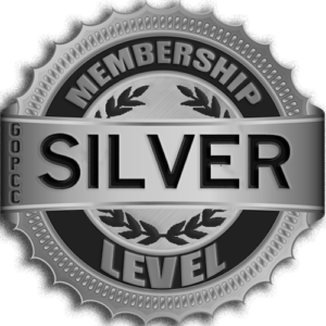 SilverLevel